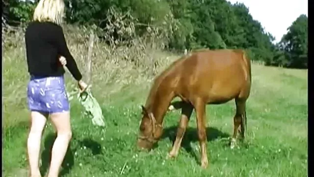 最高の屋内固定トイレ エッチ 動画 女性 専用
