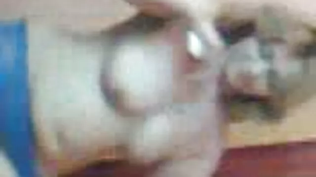 猫ちゃん 無料 女子 向け エロ 動画