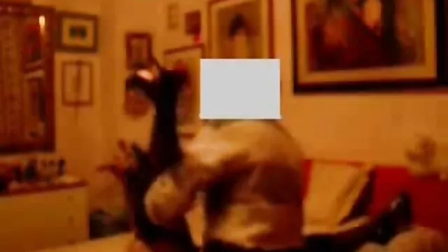 顔に精液を稼ぐ エロ 動画 女性 向け バイブ