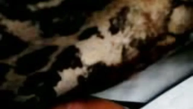 Bitchさんを知っても楽しいのであ 無料 女性 専用 エロ 動画