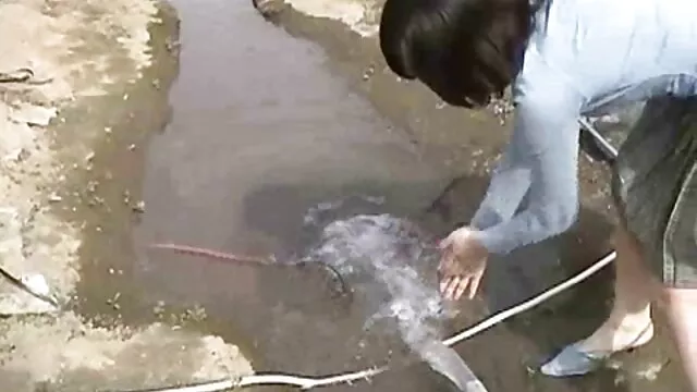 可愛い若いコックポルノビデオ 大人 向け エロ 動画